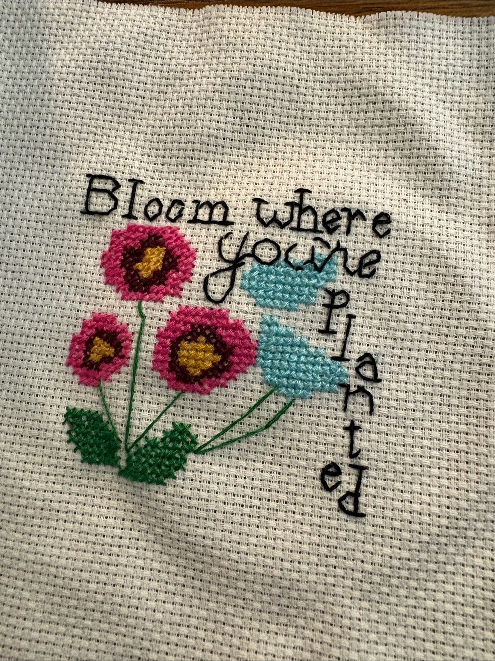 Bloom where you're planted Completed Cross stitch